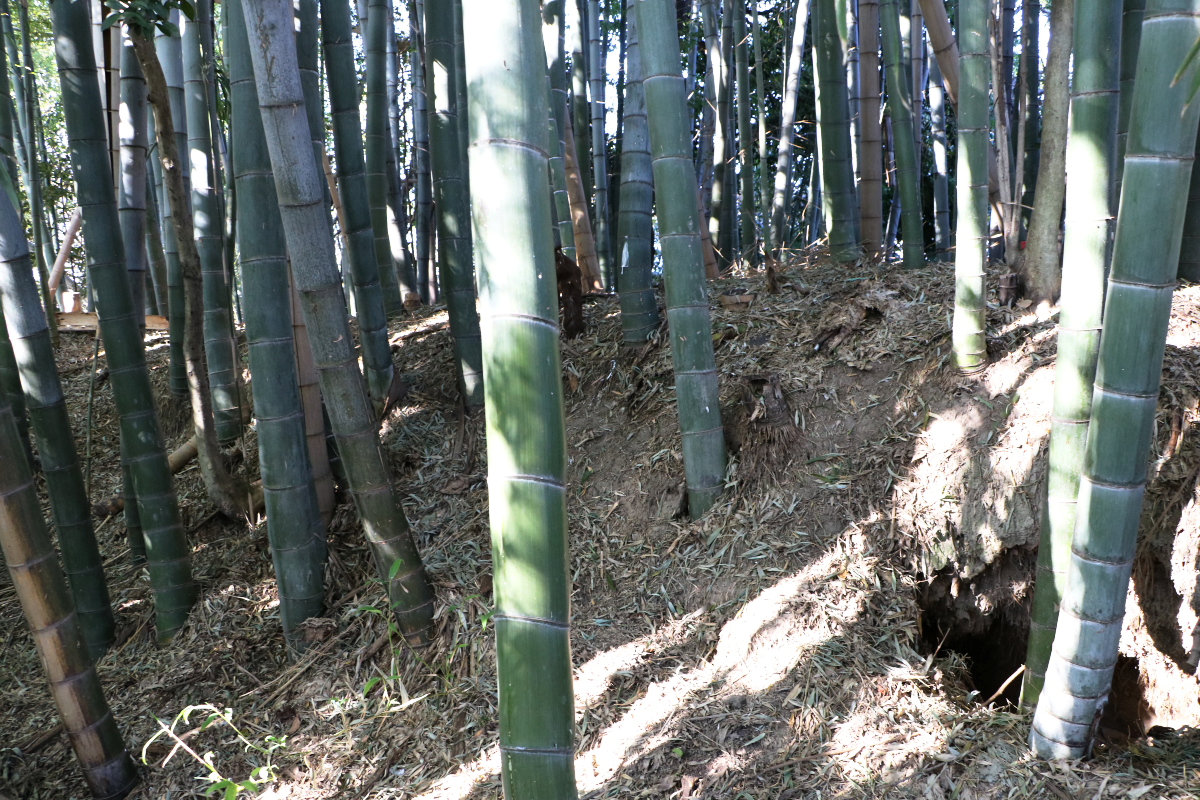 伏屋城趾