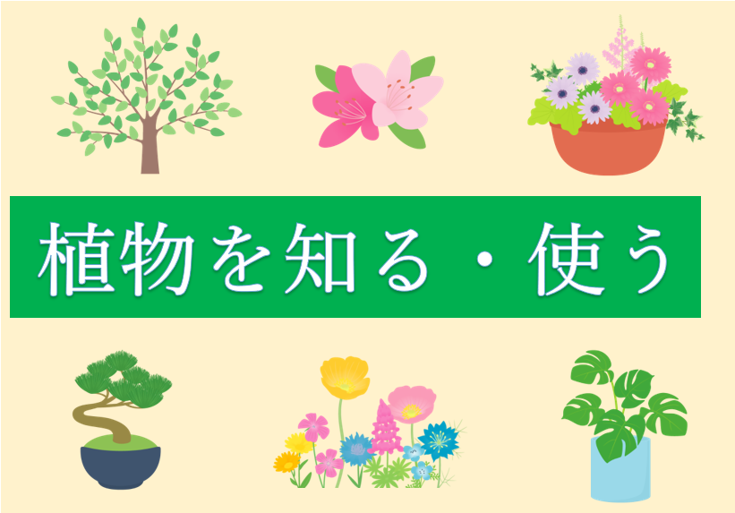 分野検索